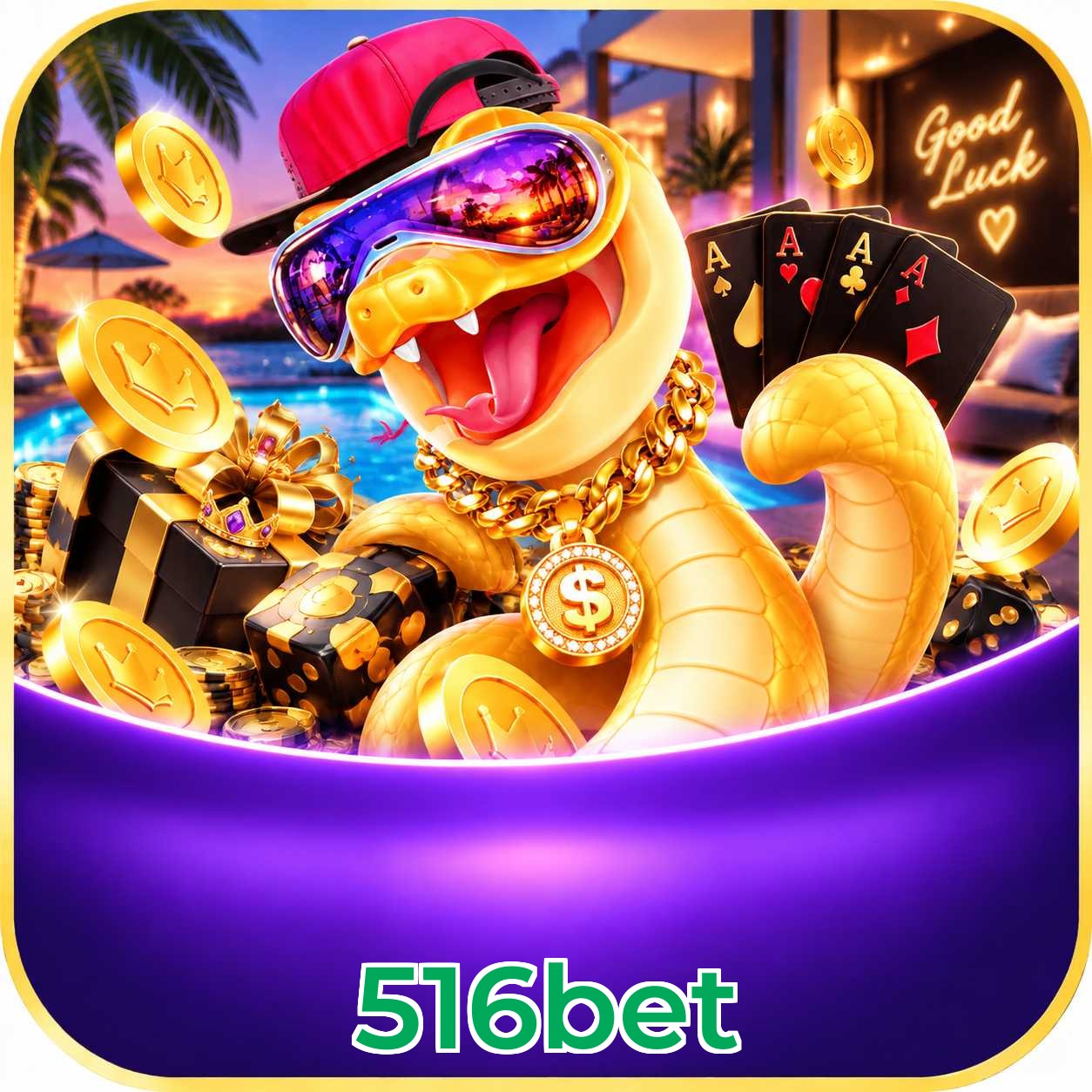 516bet
